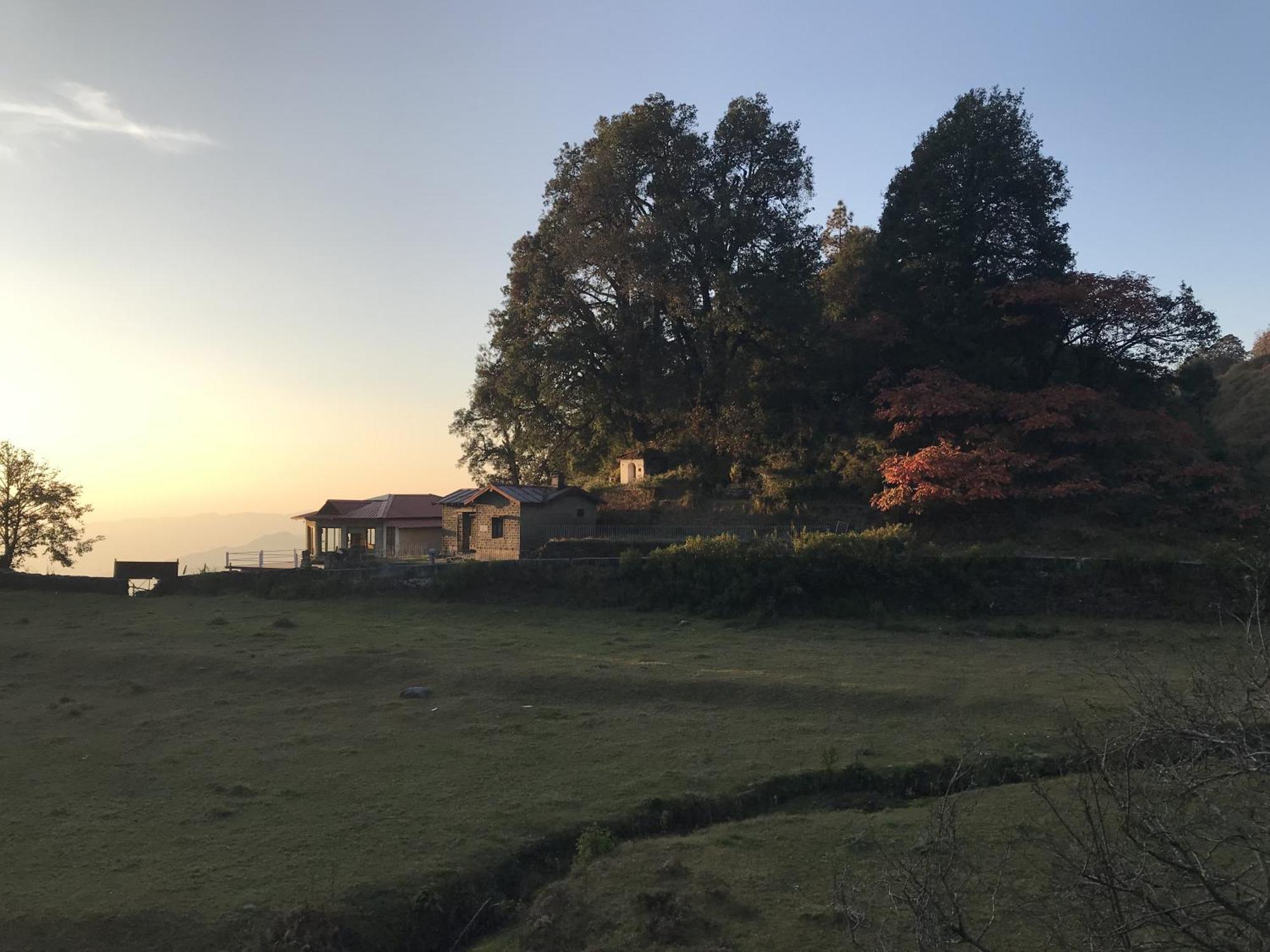 Simba Jungle Lodge, Binsar Wildlife Sanctuary ภายนอก รูปภาพ