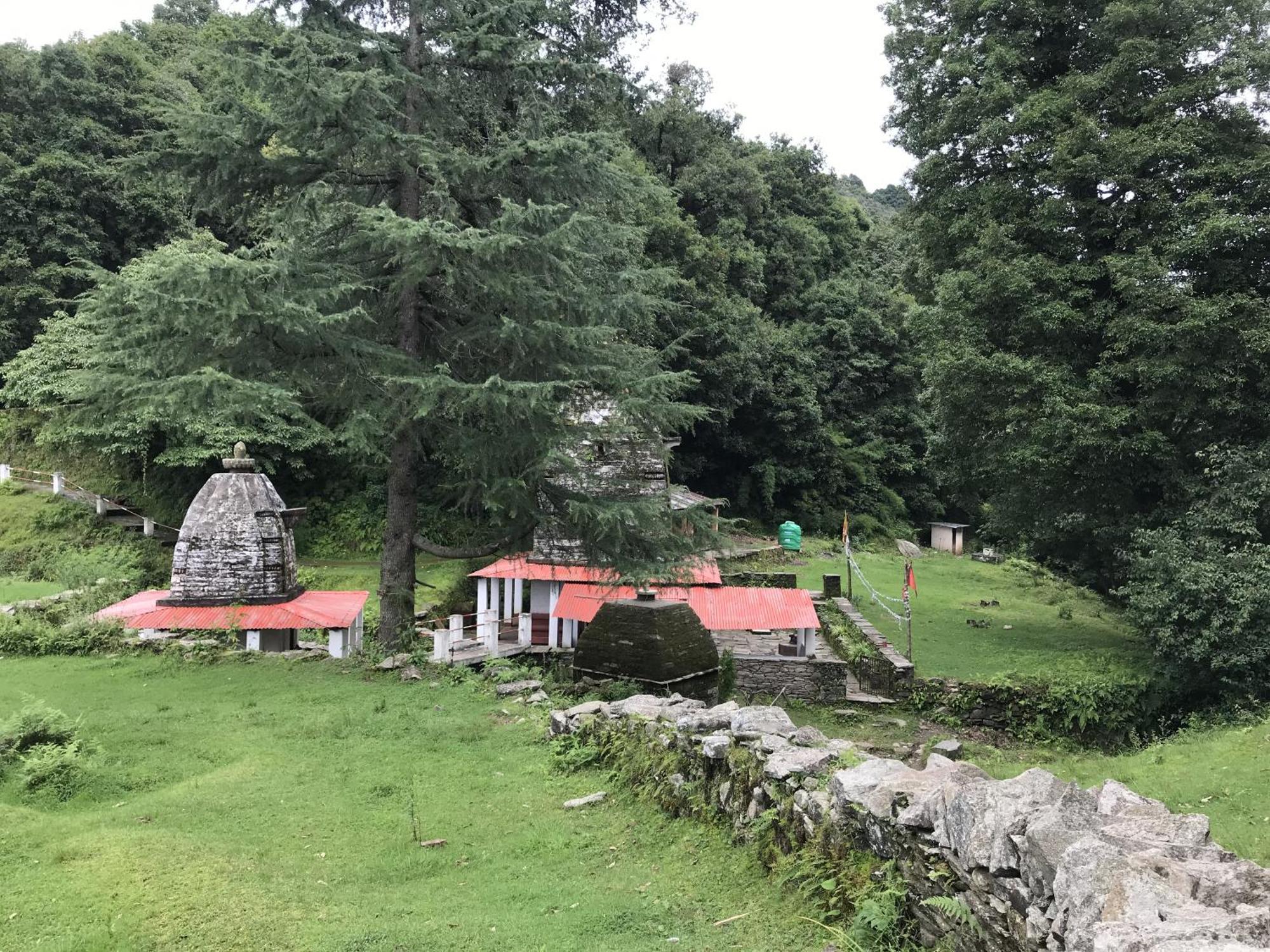 Simba Jungle Lodge, Binsar Wildlife Sanctuary ภายนอก รูปภาพ
