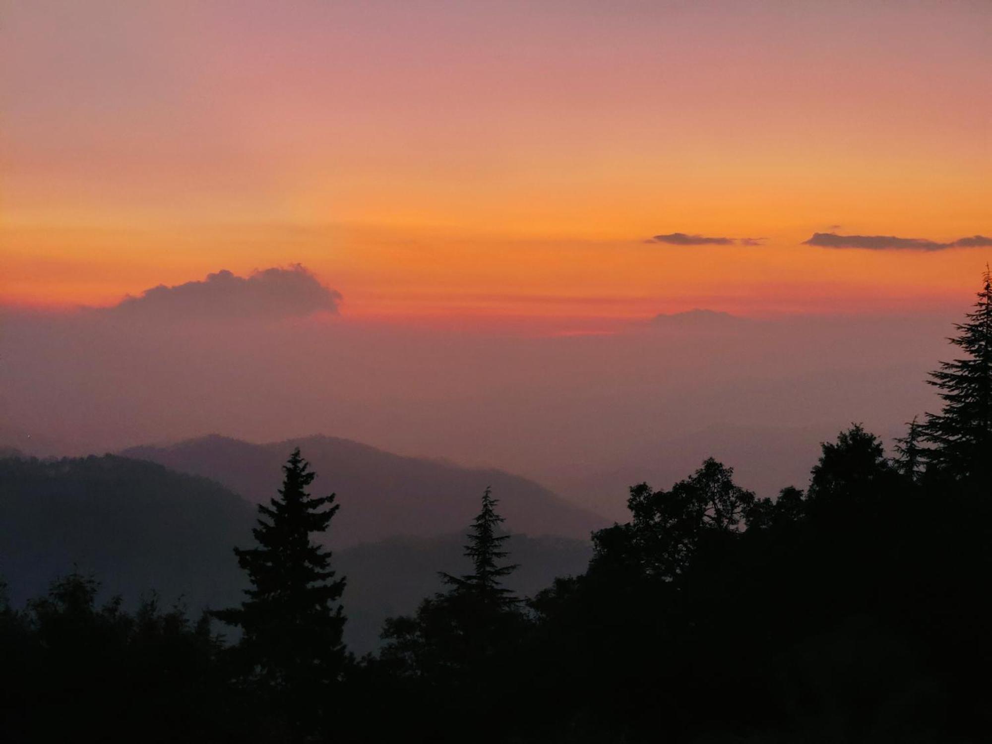 Simba Jungle Lodge, Binsar Wildlife Sanctuary ภายนอก รูปภาพ