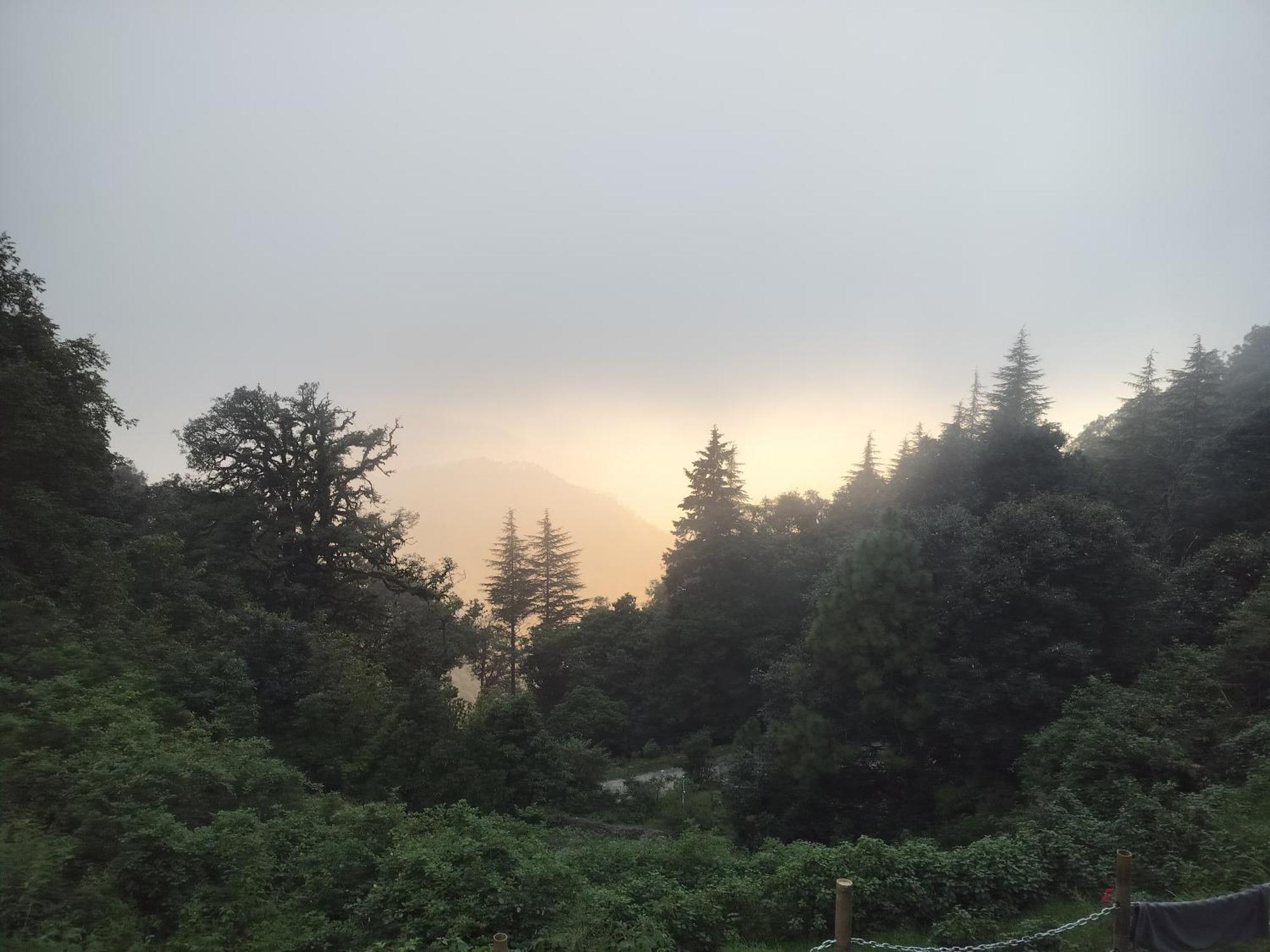 Simba Jungle Lodge, Binsar Wildlife Sanctuary ภายนอก รูปภาพ